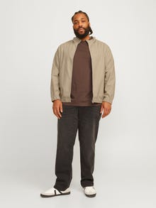 Jack & Jones Plius Striukė -White Pepper - 12261350