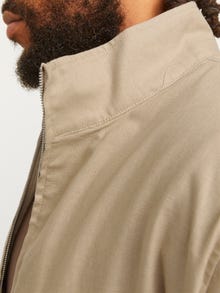Jack & Jones Plus Size Jacke -White Pepper - 12261350