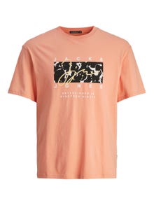 Jack & Jones Plus Size Tryck T-shirt -Canyon Sunset - 12261579