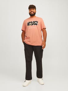 Jack & Jones Plus Size Printed T-shirt -Canyon Sunset - 12261579