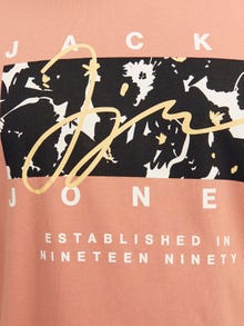 Jack & Jones Plus Size Gedruckt T-shirt -Canyon Sunset - 12261579