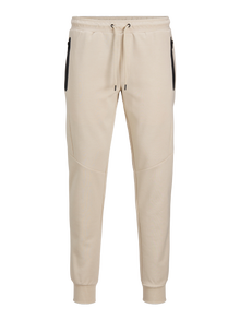 Jack & Jones Priglundantis kirpimas Sportinės kelnės -Moonbeam - 12261991