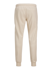 Jack & Jones Priglundantis kirpimas Sportinės kelnės -Moonbeam - 12261991
