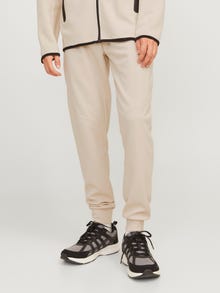 Jack & Jones Priglundantis kirpimas Sportinės kelnės -Moonbeam - 12261991
