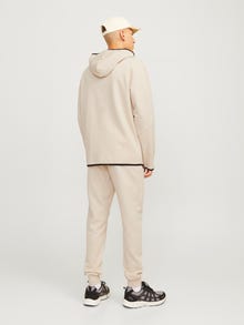 Jack & Jones Priglundantis kirpimas Sportinės kelnės -Moonbeam - 12261991