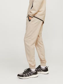 Jack & Jones Priglundantis kirpimas Sportinės kelnės -Moonbeam - 12261991