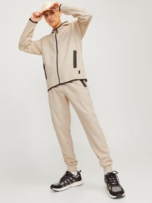 Jack & Jones Priglundantis kirpimas Sportinės kelnės -Moonbeam - 12261991