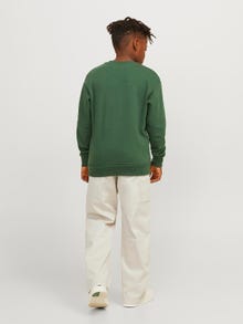 Jack & Jones Worker pants For boys -Moonbeam - 12262027