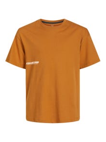 Jack & Jones Trykk T-skjorte For gutter -Bone Brown - 12262090