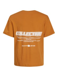 Jack & Jones Printet T-shirt Til drenge -Bone Brown - 12262090