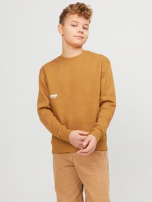 Jack & Jones Trykk Sweatshirt Junior -Bone Brown - 12262092