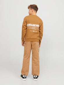 Jack & Jones Nyomott mintás Személyzeti nyakú pulóver Ifjúsági -Bone Brown - 12262092