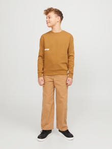 Jack & Jones Printed Sweatshirt Junior -Bone Brown - 12262092