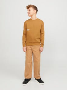 Jack & Jones Trykk Sweatshirt Junior -Bone Brown - 12262092