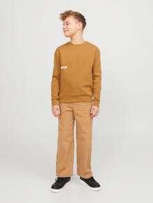 Jack & Jones Nyomott mintás Személyzeti nyakú pulóver Ifjúsági -Bone Brown - 12262092