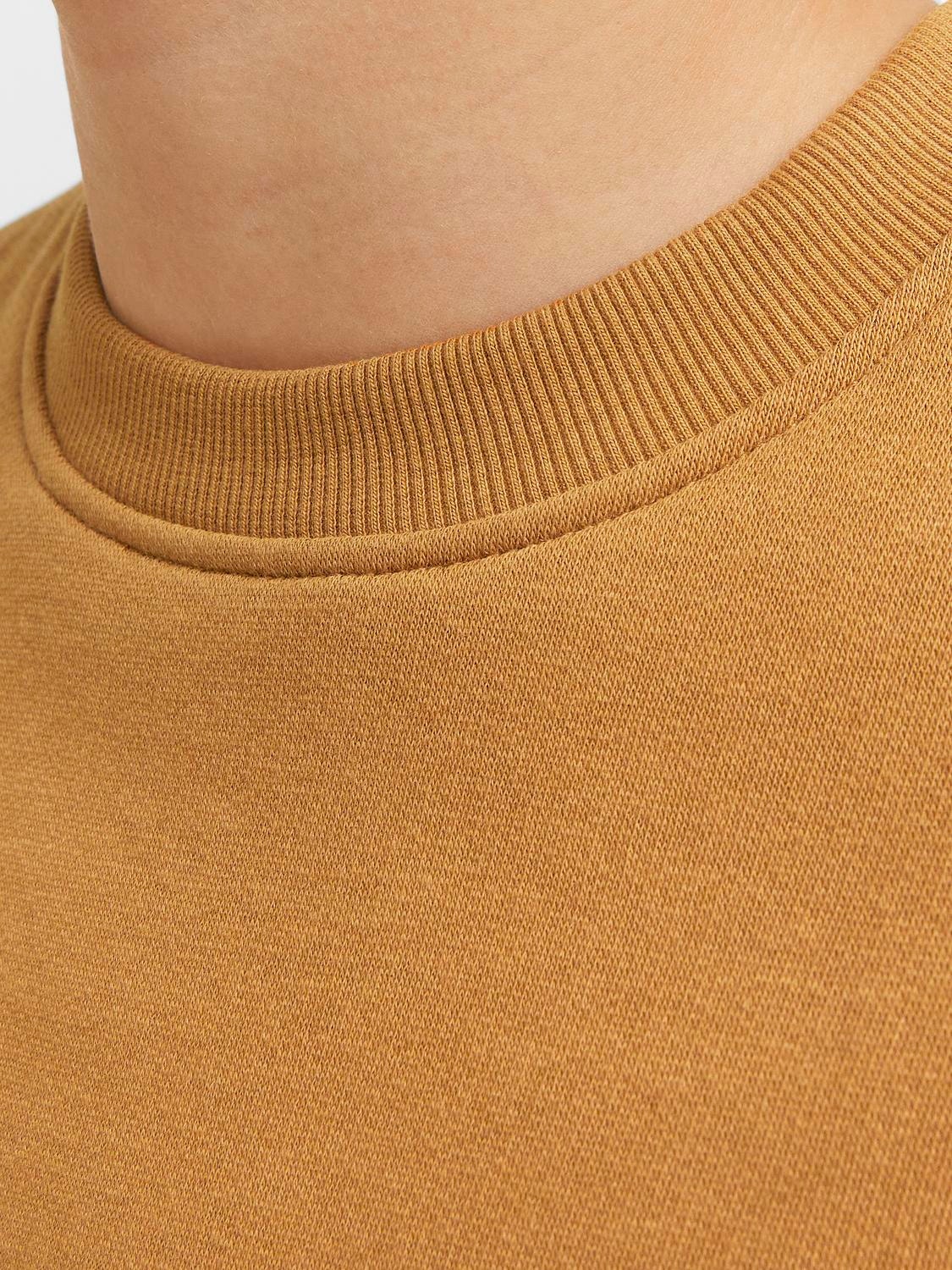 Jack & Jones Printed Crew neck Sweatshirt For boys -Bone Brown - 12262092