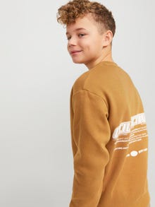 Jack & Jones Nyomott mintás Személyzeti nyakú pulóver Ifjúsági -Bone Brown - 12262092