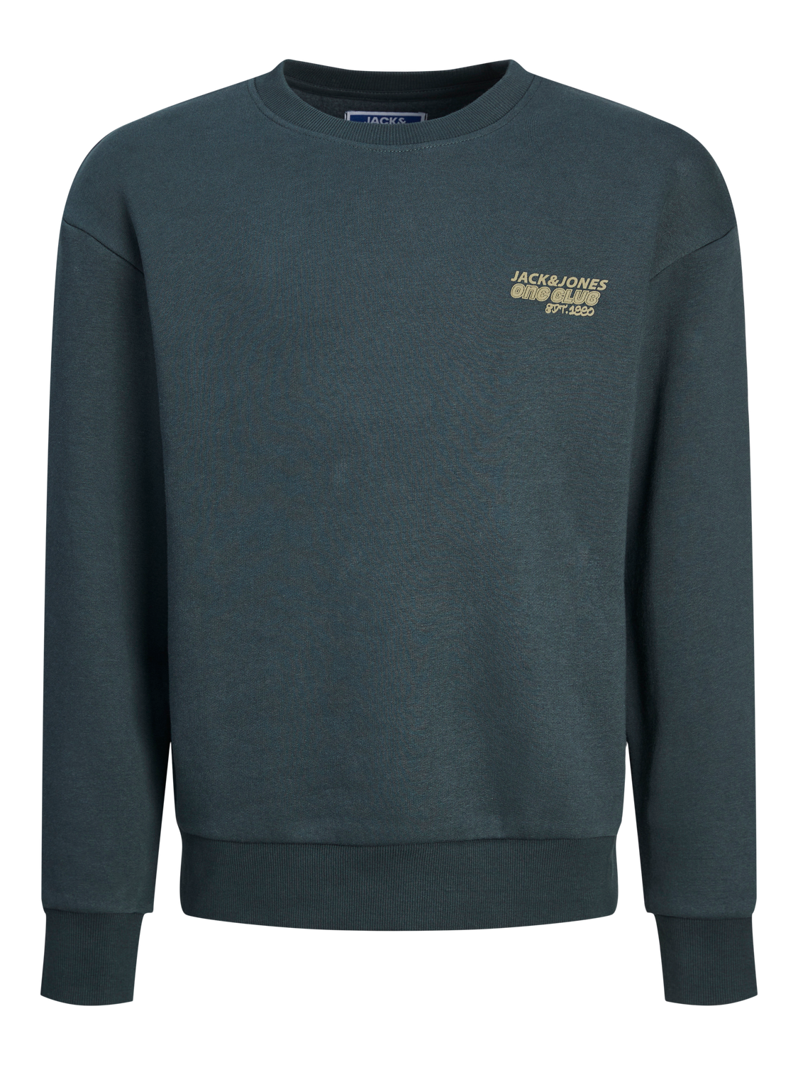 Jack & Jones Printed Crew neck Sweatshirt For boys -Magical Forest - 12262092