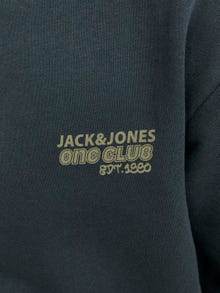 Jack & Jones Tryck Crewneck tröja För pojkar -Magical Forest - 12262092
