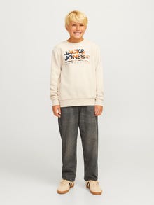 Jack & Jones JJICHRIS JJORIGINAL MF 045 SN JNR Jeansy o swobodnym kroju Junior -Grey Denim - 12262170