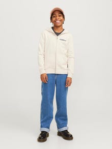Jack & Jones JJIALEX JJCARPENTER MF 055 JNR Vaqueros de corte baggy Junior -Blue Denim - 12262214