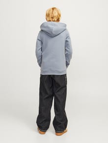 Jack & Jones JJIALEX JJCARPENTER MF 056 SN JNR Jean baggy fit Junior -Black Denim - 12262215