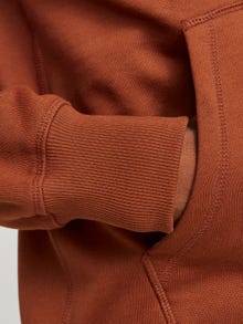 Jack & Jones Painettu Huppari -Brandy Brown - 12262811