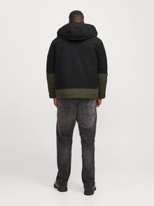 Jack & Jones Plus -Forest Night - 12263064