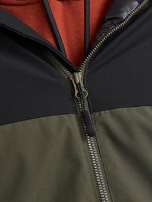 Jack & Jones Plus -Forest Night - 12263064