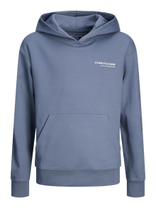 Jack & Jones Bedrukt Hoodie Voor jongens -Flint Stone - 12263302