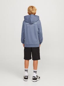 Jack & Jones Hoodie Estampar Para meninos -Flint Stone - 12263302