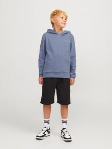 Jack & Jones Bedrukt Hoodie Voor jongens -Flint Stone - 12263302