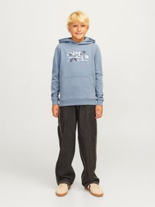 Jack & Jones Junior Logo Huppari -Flint Stone - 12263378