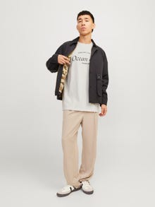 Jack & Jones Potištěný Kruhový výstřih Tričko -Egret - 12263519