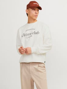 Jack & Jones Tryck Crewneck tröja -Egret - 12263522