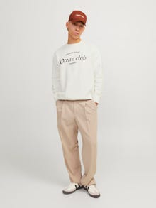 Jack & Jones Tryck Crewneck tröja -Egret - 12263522