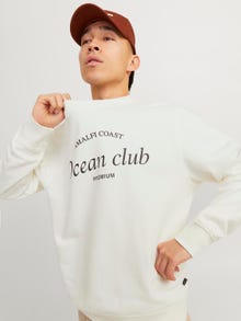 Jack & Jones Tryck Crewneck tröja -Egret - 12263522