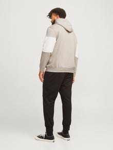 Jack & Jones Plius Logotipas Džemperis -Moonbeam - 12263981