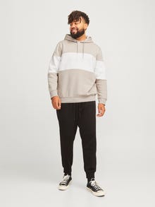 Jack & Jones Plius Logotipas Džemperis -Moonbeam - 12263981