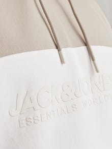 Jack & Jones Plius Logotipas Džemperis -Moonbeam - 12263981