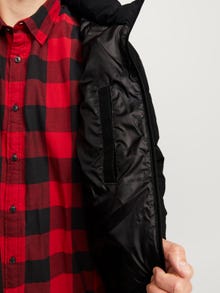 Jack & Jones Consigue el look - 1908203356