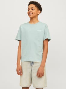 Jack & Jones T-shirt Estampar Para meninos -Gray Mist - 12264219