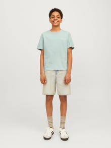 Jack & Jones Poikien Painettu T-paita -Gray Mist - 12264219