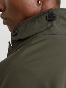Jack & Jones Consigue el look - 1908203742
