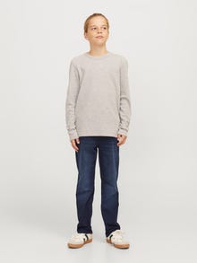 Jack & Jones JJICLARK JJLEON SQ 018 BF JNR Regular fit traperice JUNIOR -Blue Denim - 12264878