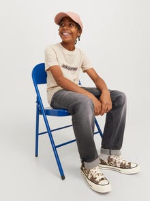 Jack & Jones JJICLARK JJLEON SQ 020 BF JNR Regular fit Junior -Grey Denim - 12264880