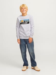 Jack & Jones Painettu Svetari -White Melange - 12266146