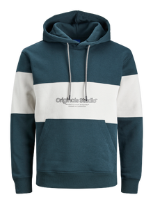 Jack & Jones Sweat à capuche Effet colour block -Magical Forest - 12266172