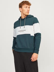 Jack & Jones Sweat à capuche Effet colour block -Magical Forest - 12266172