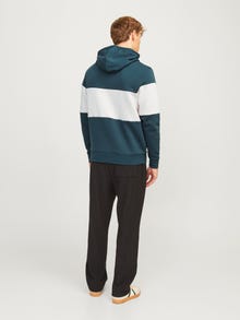Jack & Jones Sweat à capuche Effet colour block -Magical Forest - 12266172